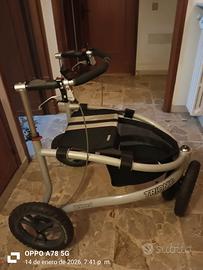 Deambulatore da esterno