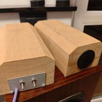 coppia tweeter autocostruito energy con crossover