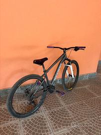 wheelie bike modificata