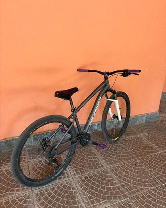 wheelie bike modificata