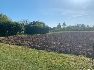 Terreno agricolo