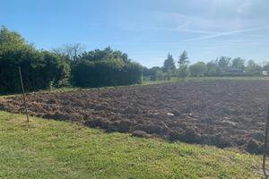 Terreno agricolo