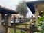 Immagine 15