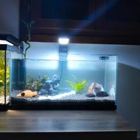 acquario già allestito 54l