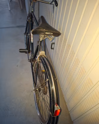 bicicletta freni a bacchetta