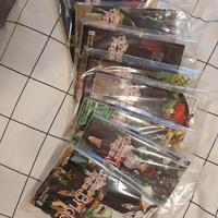 the ancient magus bride 