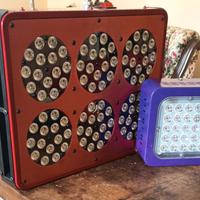 lampade led per coltivazione indoor