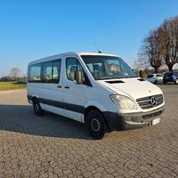 Mercedes Sprinter  - 9 posti 