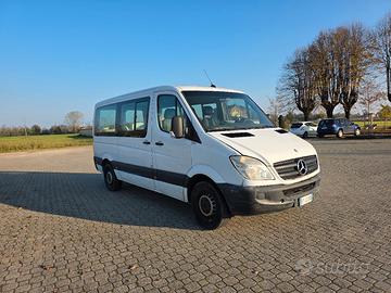 Mercedes Sprinter  - 9 posti 