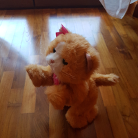 Gattino interattivo daisy