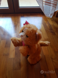 Gattino interattivo daisy