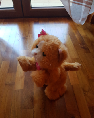 Gattino interattivo daisy