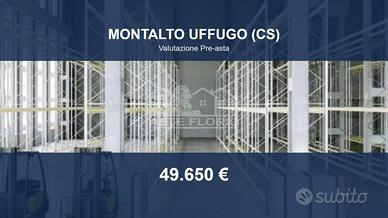 Immobile in asta di 300 m² a Montalto Uffugo