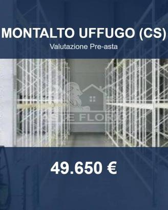 Immobile in asta di 300 m² a Montalto Uffugo