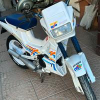 Fifty mistral