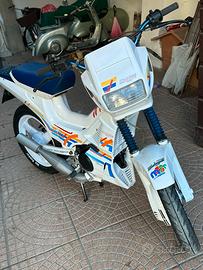 Fifty mistral