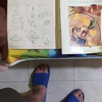 Trita tutto moulinex