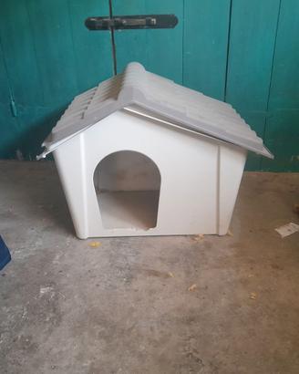 Ciccia per cane TG m