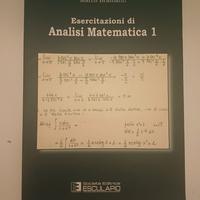Esercitazioni di Analisi Matematica 1 bramanti