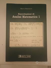 Esercitazioni di Analisi Matematica 1 bramanti