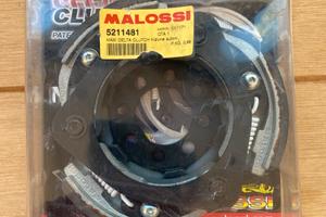 Frizione Malossi Runner