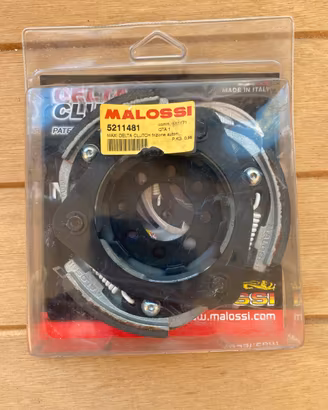 Frizione Malossi Runner