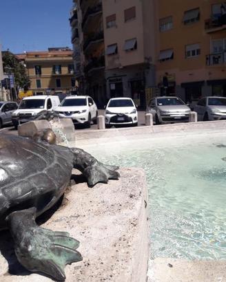 NEGOZIO A ALBANO LAZIALE