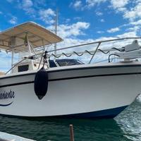 GRADY WHITE 263 CC +2x250hp SUZUKI (2013)