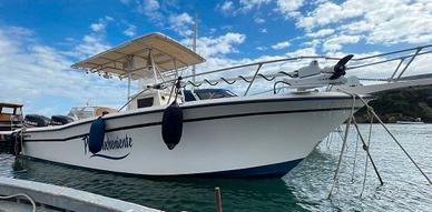 GRADY WHITE 263 CC +2x250hp SUZUKI (2013)