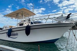 GRADY WHITE 263 CC +2x250hp SUZUKI (2013)