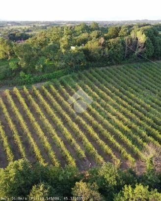 TER. AGRICOLO A SOLFERINO