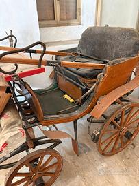 carrozza per cavallo