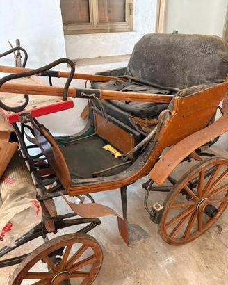 carrozza per cavallo