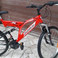 bici n.24 marciante mountain bilke regina 