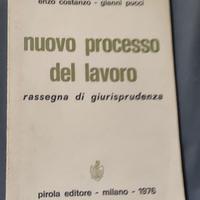 Nuovo processo del lavoro-