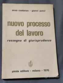 Nuovo processo del lavoro-