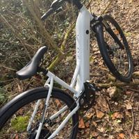 bici elettrica 