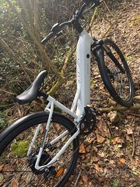 bici elettrica 