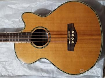 basso acustico elettrificato 