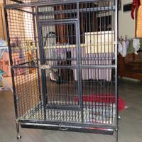 gabbia per papagalli