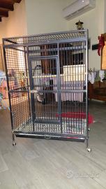 gabbia per papagalli