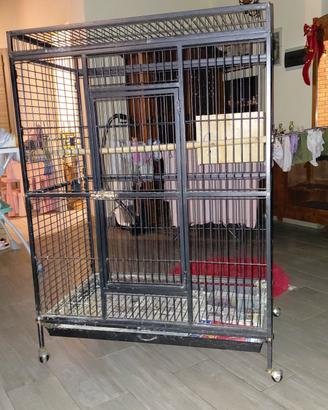 gabbia per papagalli