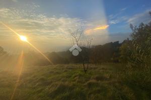 TER. AGRICOLO A SAN RAFFAELE CIMENA