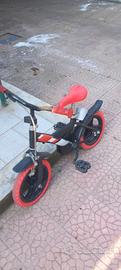 bicicletta