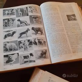 dizionario.enciclopedico.labor