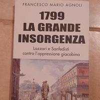 1799 La grande insorgenza