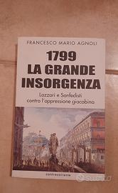 1799 La grande insorgenza