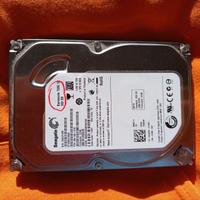 Hard Disk Gb. 320 sata a Spinea (Ve)