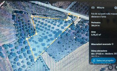 Casa di campagna con uliveto produttivo 5100 mq