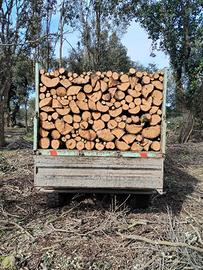 legns da ardere di leccio sardo 